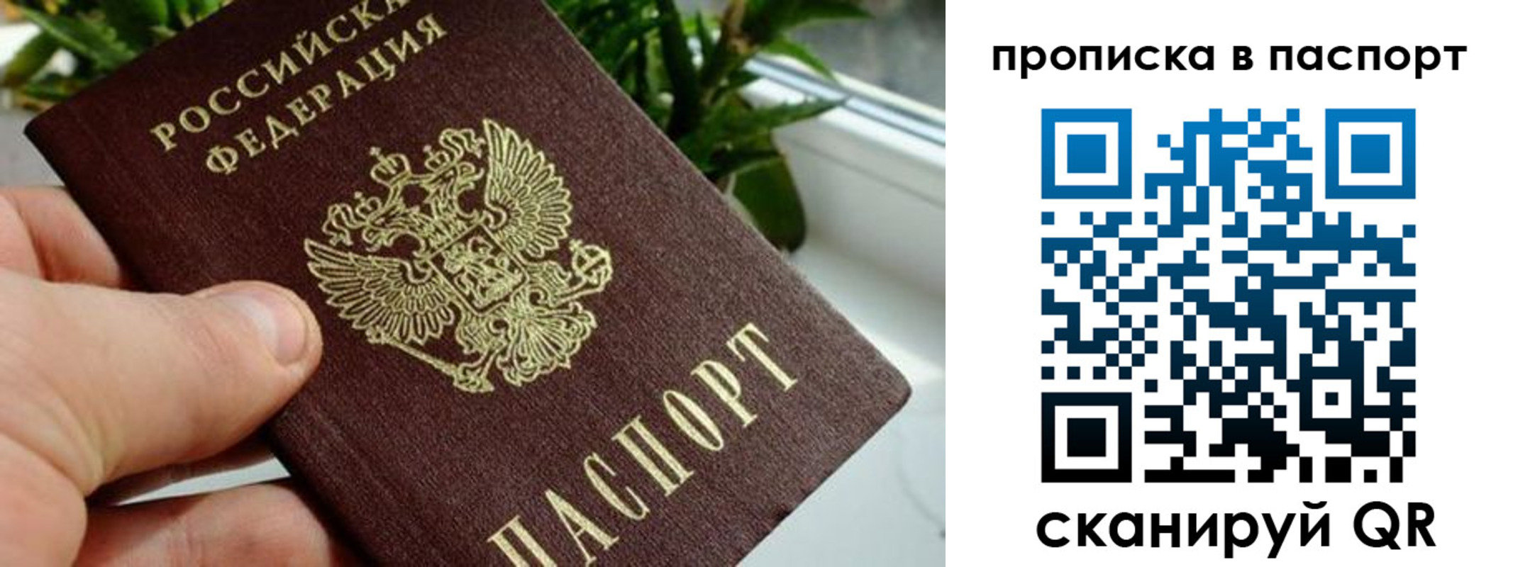 пропишу в квартире в Озёрах